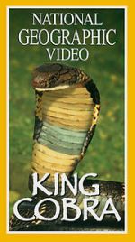 Watch King Cobra Letmewatchthis