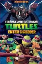Watch Teenage Mutant Ninja Turtles: Enter Shredder Letmewatchthis
