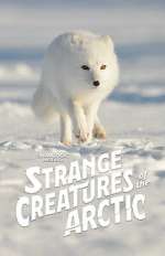 Watch Strange Creatures of the Arctic (TV Special 2022) Letmewatchthis