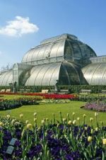 Watch Cruickshank on Kew: The Garden That Changed the World Letmewatchthis