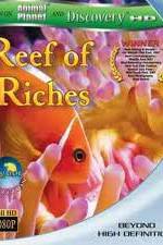 Watch Equator Reefs of Riches Letmewatchthis