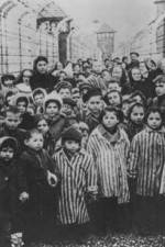 Watch AUSCHWITZ: LIBERATION AND REVENGE Letmewatchthis