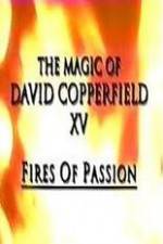 Watch The Magic of David Copperfield XV Fires of Passion Letmewatchthis