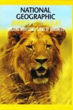 Watch National Geographic: Walking with Lions Letmewatchthis