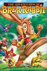 Watch The Adventures of Brer Rabbit Letmewatchthis