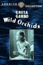 Watch Wild Orchids Letmewatchthis