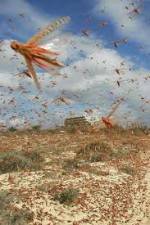 Watch Swarm Chasers: Locusts Letmewatchthis