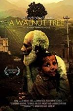 Watch A Walnut Tree Letmewatchthis