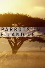 Watch Nature Parrots in the Land of Oz Letmewatchthis