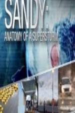 Watch Sandy Anatomy Of A Superstorm Letmewatchthis