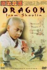 Watch Long zai Shaolin Letmewatchthis