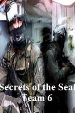 Watch Discovery Channel Secrets of Seal Team 6 Letmewatchthis