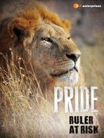 Watch Pride - Ruler\'s at Risk Letmewatchthis