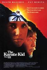Watch The Karate Kid, Part III Letmewatchthis