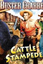 Watch Cattle Stampede Letmewatchthis