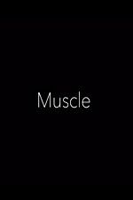 Watch Muscle Letmewatchthis