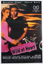 Watch Wild at Heart Letmewatchthis
