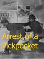 Watch The Arrest of a Pickpocket Letmewatchthis