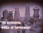 Watch The Wonderful World of Tupperware (Short 1965) Letmewatchthis