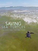 Watch Saving Sea Turtles: Preventing Extinction Letmewatchthis