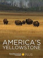 Watch America\'s Yellowstone Letmewatchthis