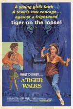 Watch A Tiger Walks Letmewatchthis