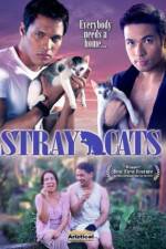 Watch Stray Cats Letmewatchthis