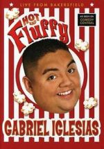 Watch Gabriel Iglesias: Hot and Fluffy Letmewatchthis