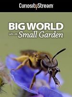 Watch Big World in a Small Garden (TV Short 2016) Letmewatchthis