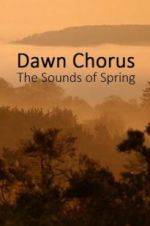 Watch Dawn Chorus: The Sounds of Spring Letmewatchthis