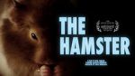 Watch The Hamster Letmewatchthis