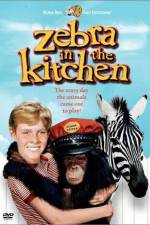 Watch Zebra in the Kitchen Letmewatchthis