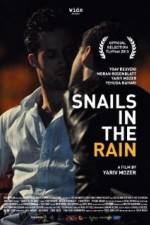 Watch Snails in the Rain Letmewatchthis