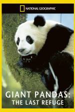 Watch National Geographic Giant Pandas The Last Refuge Letmewatchthis