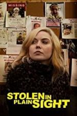 Watch Stolen in Plain Sight Letmewatchthis