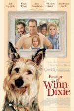 Watch Because of Winn-Dixie Letmewatchthis
