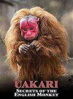 Watch Uakari: Secrets of the English Monkey Letmewatchthis