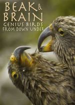 Watch Beak & Brain - Genius Birds from Down Under Letmewatchthis