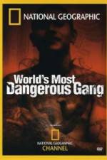 Watch National Geographic World's Most Dangerous Gang Letmewatchthis