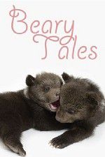 Watch Beary Tales Letmewatchthis