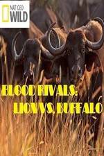 Watch National Geographic - Blood Rivals: Lion vs. Buffalo Letmewatchthis