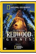 Watch National Geographic Explorer: Climbing Redwood Giants Letmewatchthis