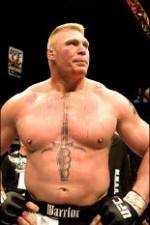 Watch Brock Lesnar 7 Fights Letmewatchthis