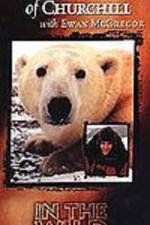 Watch The Polar Bears of Churchill with Ewan McGregor Letmewatchthis