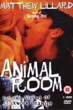 Watch Animal Room Letmewatchthis