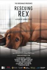 Watch Rescuing Rex Letmewatchthis