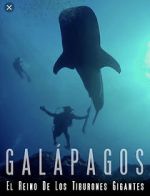 Watch Galapagos: Realm of Giant Sharks Letmewatchthis