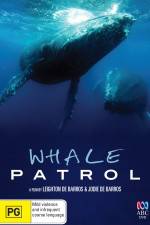 Watch Whale Patrol Letmewatchthis