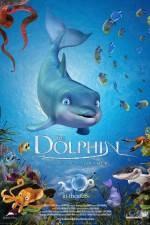 Watch The Dolphin Story of a Dreamer Letmewatchthis