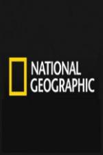 Watch National Geographic Wild Predator CSI Zombie Sealions Letmewatchthis
